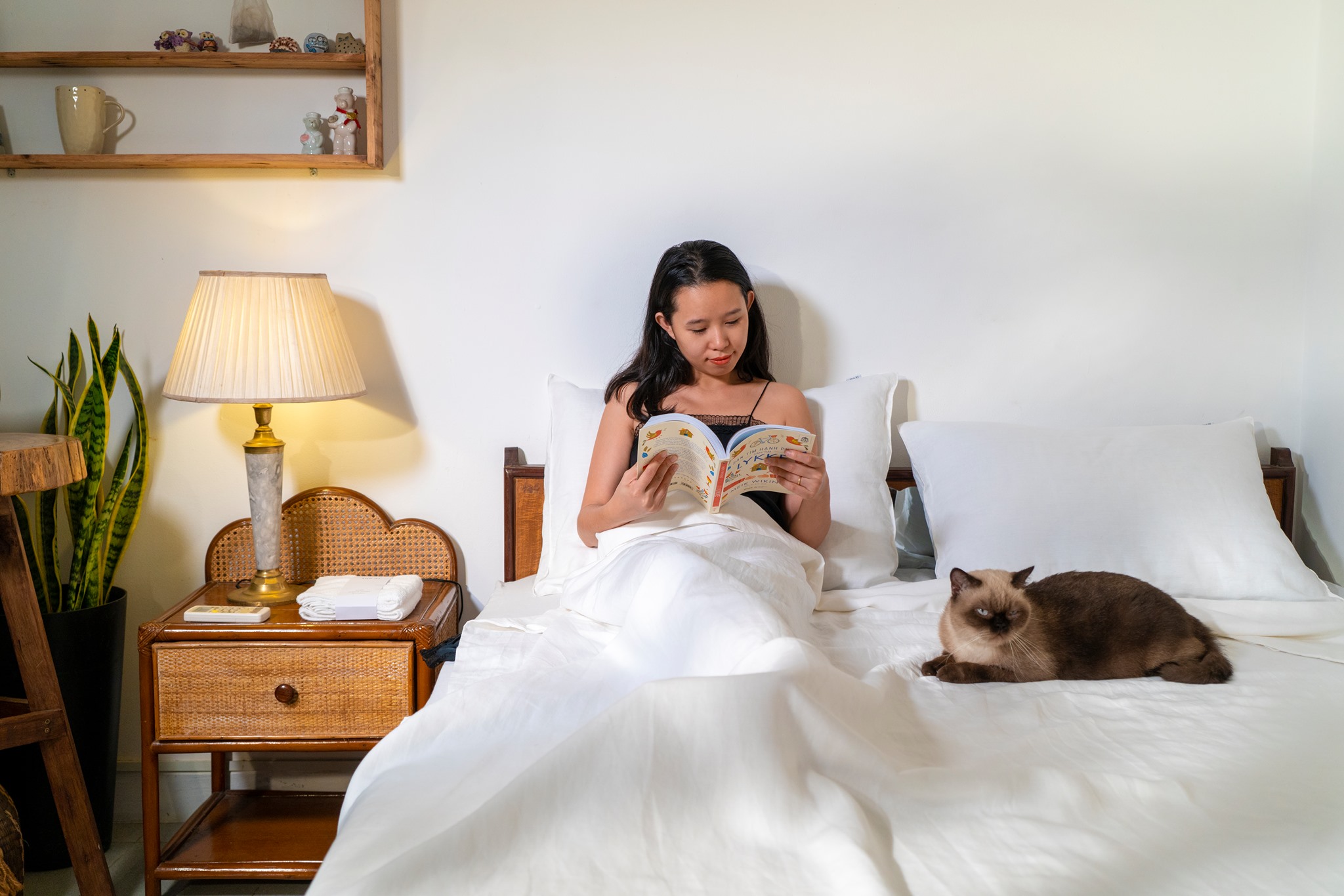 Thay bộ bedding, refesh không gian sống cho năm mới