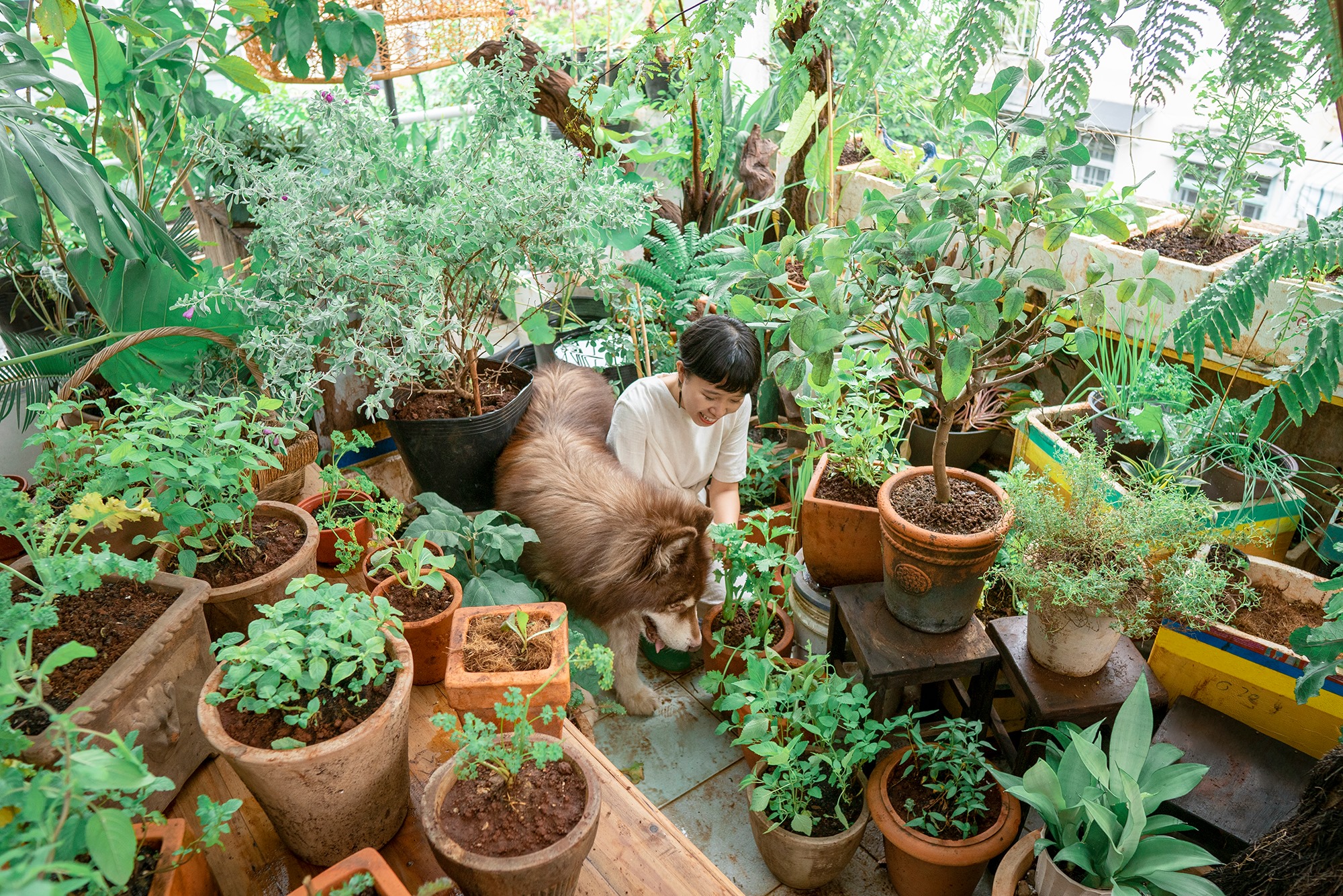 hạnh phúc bền vững