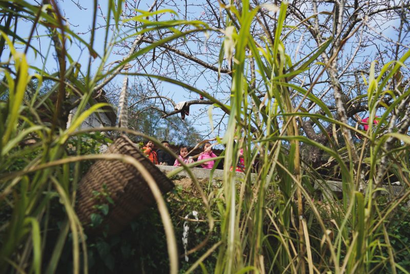 Ngày nắng trong, chân thèm mong đi lạc