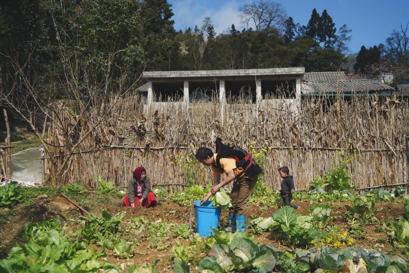 Ngày nắng trong, chân thèm mong đi lạc