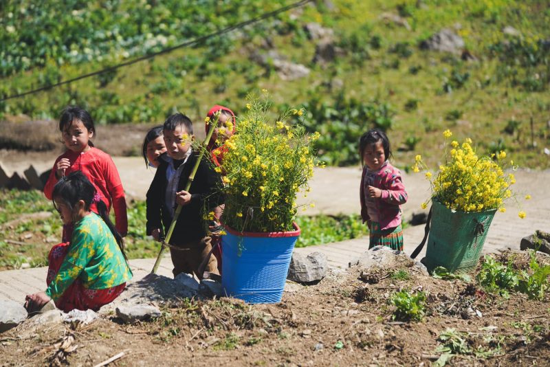 Ngày nắng trong, chân thèm mong đi lạc
