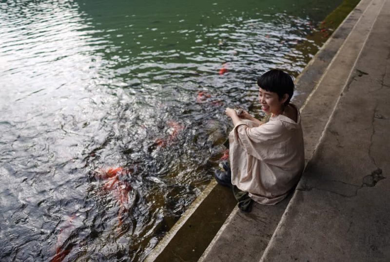 Ninh Bình ngày trở lại