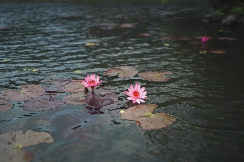 Ninh Bình ngày trở lại