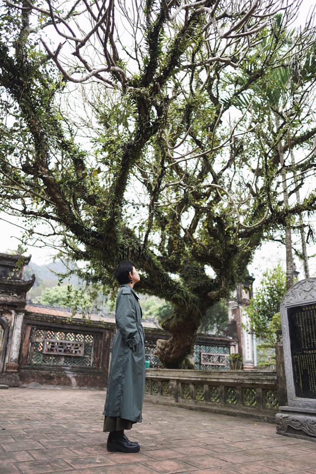 Ninh Bình ngày trở lại