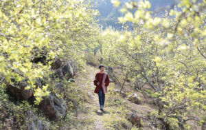 Những mùa xuân trong tâm tưởng